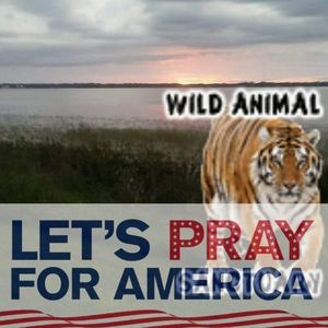 Meet your Posher, Bobbie